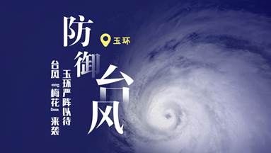 臺風梅花